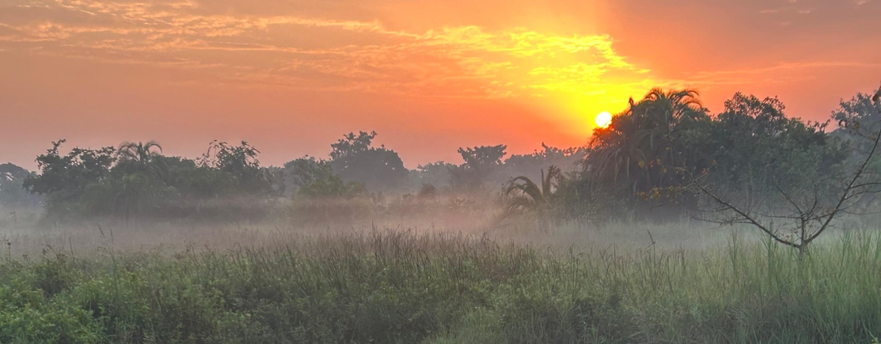 OegandaOtuke_hdr08_1280x500