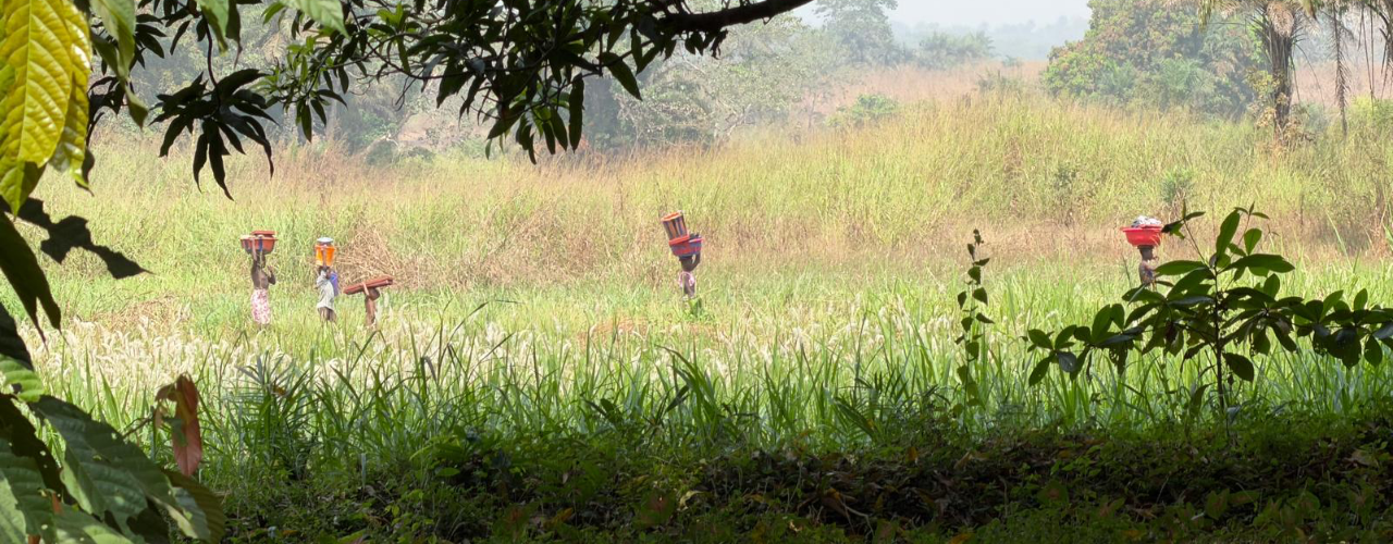SierraLeone_hdr02_1280x500
